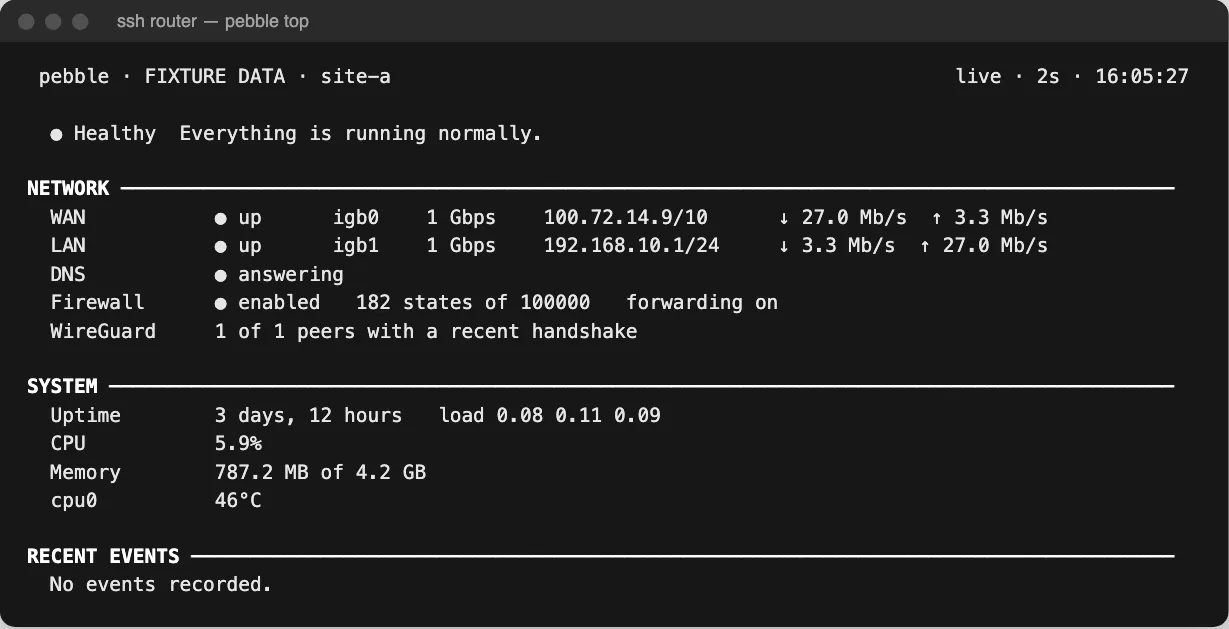pebble top running in a terminal over SSH